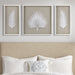 Framed-Boxford-White-Palm-3-Piece-Wall-Decor-White-Stone-Decor-1