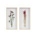 Framed-Lindstrom-Dried-Floral-2-Piece-Wall-Decor-White-Stone-Decor-3