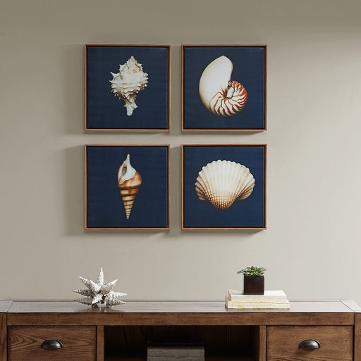 Framed-Naples-Seashells-4-Piece-Canvas-Art-White-Stone-Decor