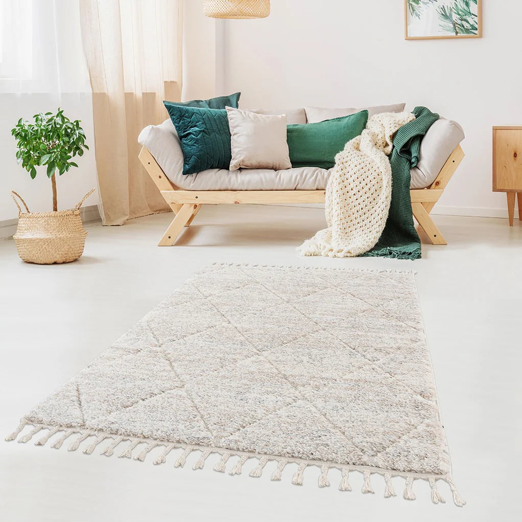 Costal Rugs